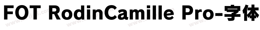 FOT RodinCamille Pro字体转换